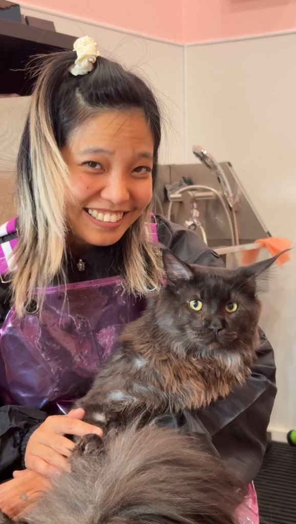 Groomer with cat