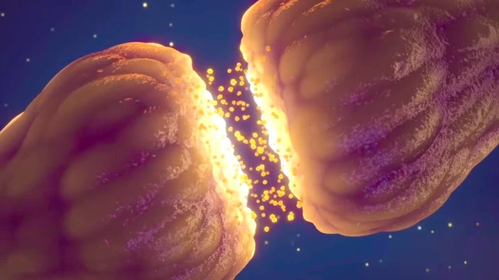 Neuron synapse firing — neural transmission at the heart of Alzheimer's research