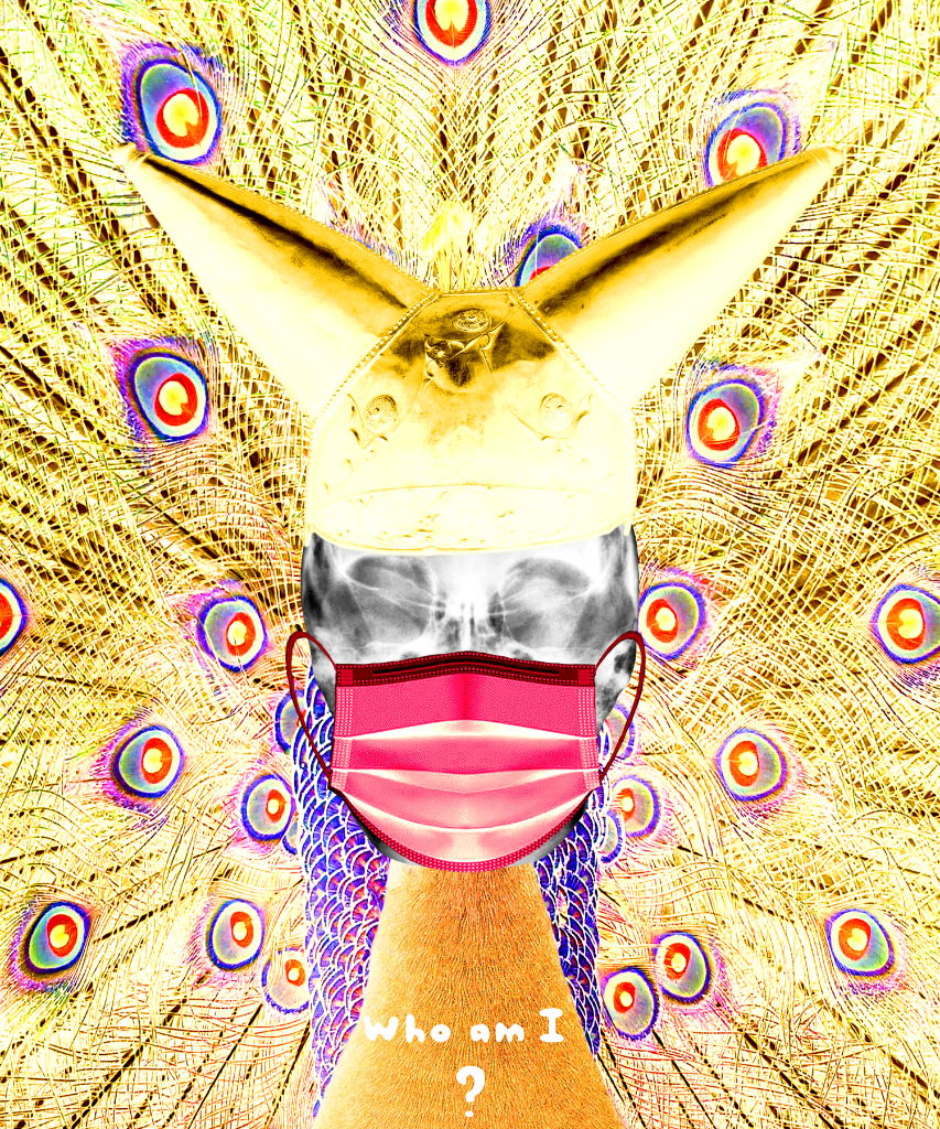 The Grandmother 1