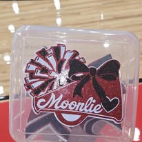 Custom Moonlie Case
