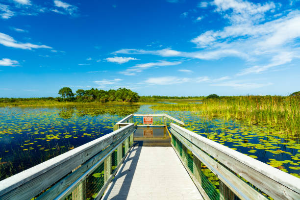 St. Lucie County mobile phlebotomy service
