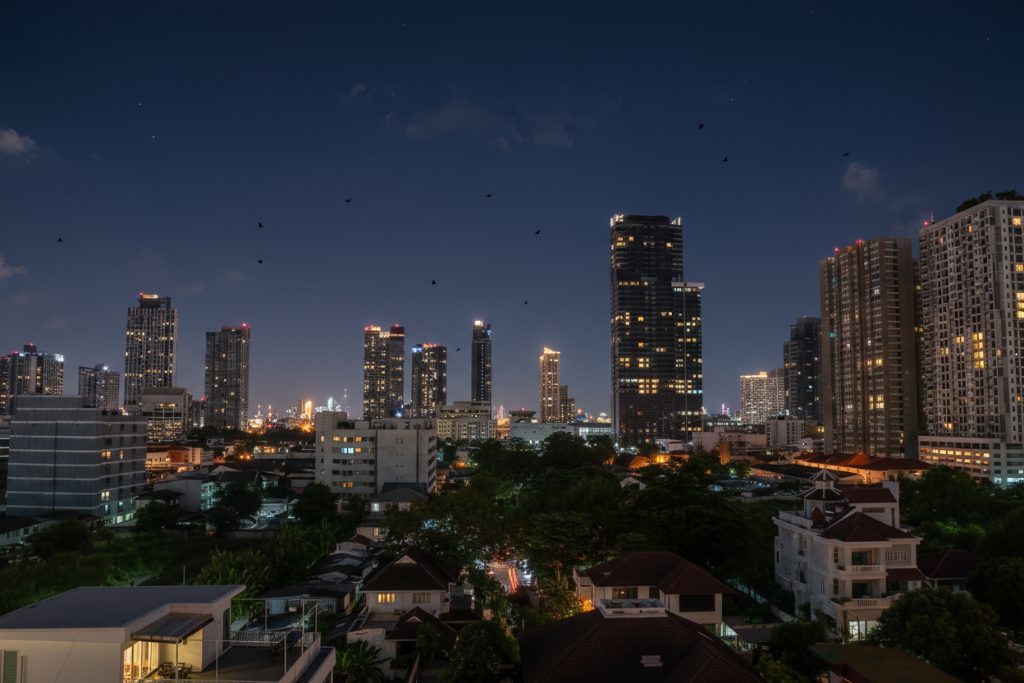 View from property night 2