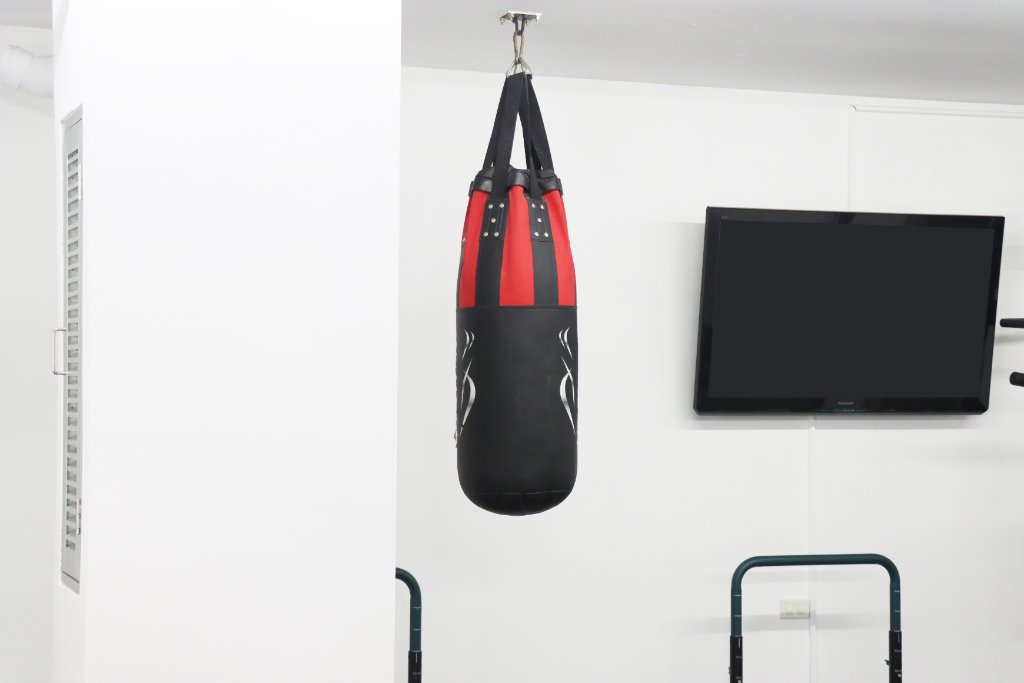Gym Punching Bag