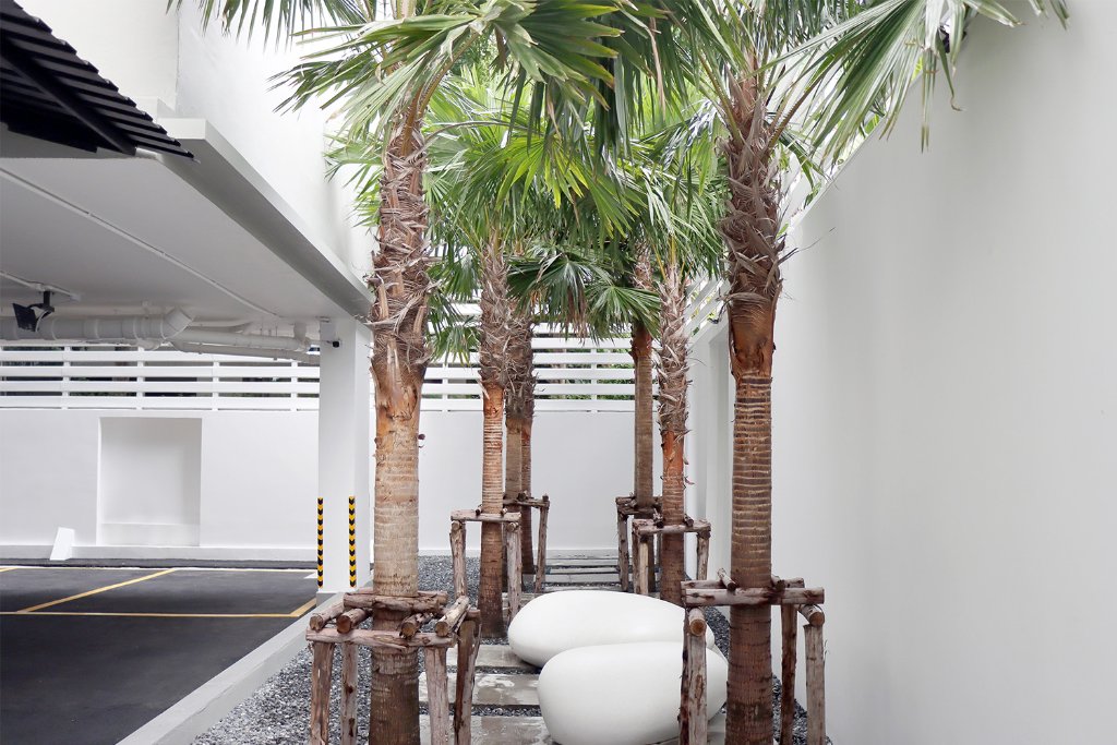 Garden Trees Angle