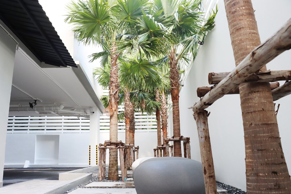 Garden Trees