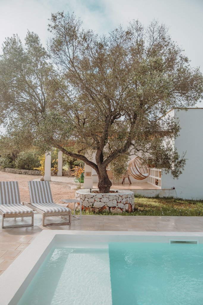 Pool & Olive Tree