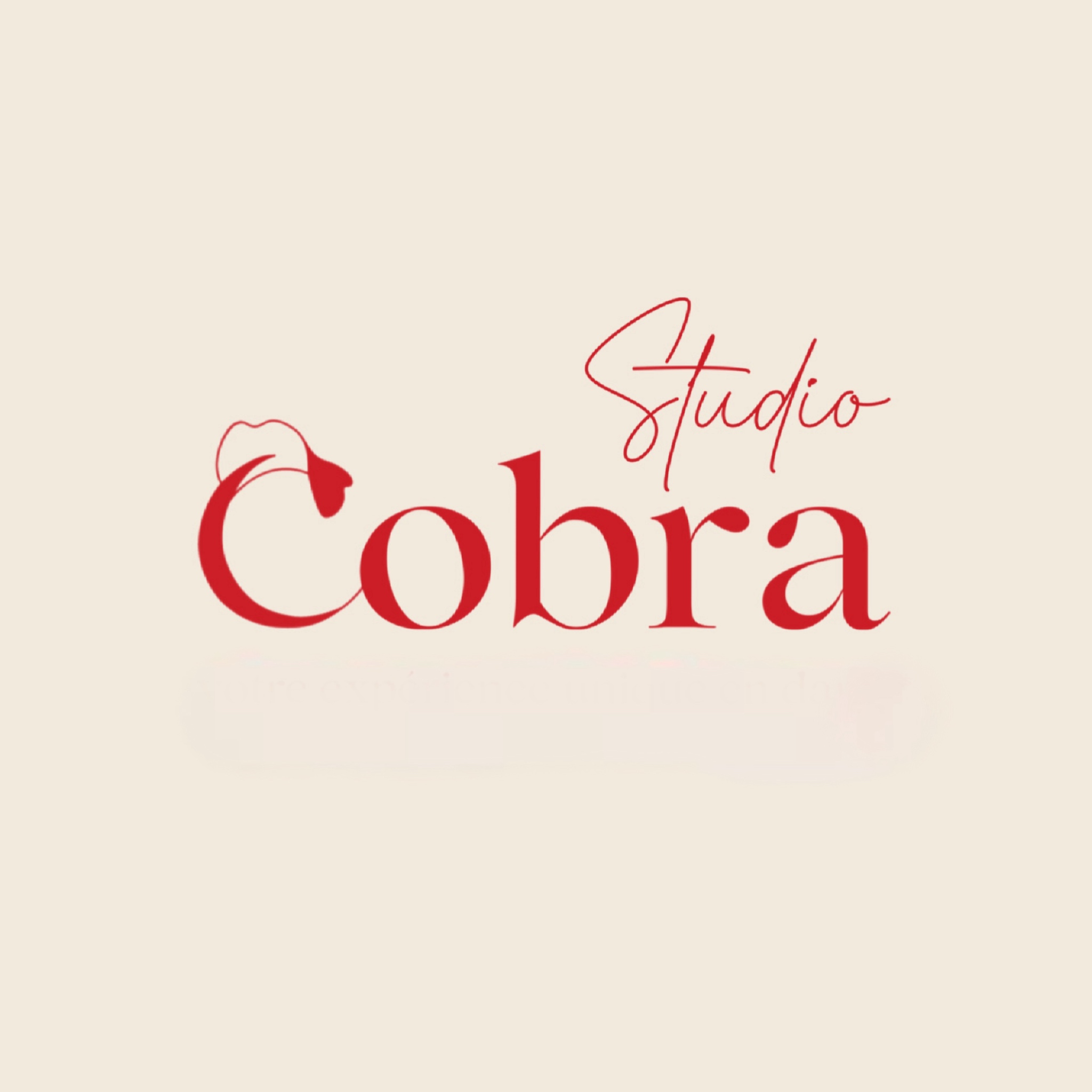 Cobra Studio logo