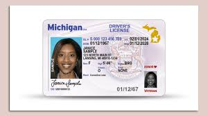 Michigan Driver's License