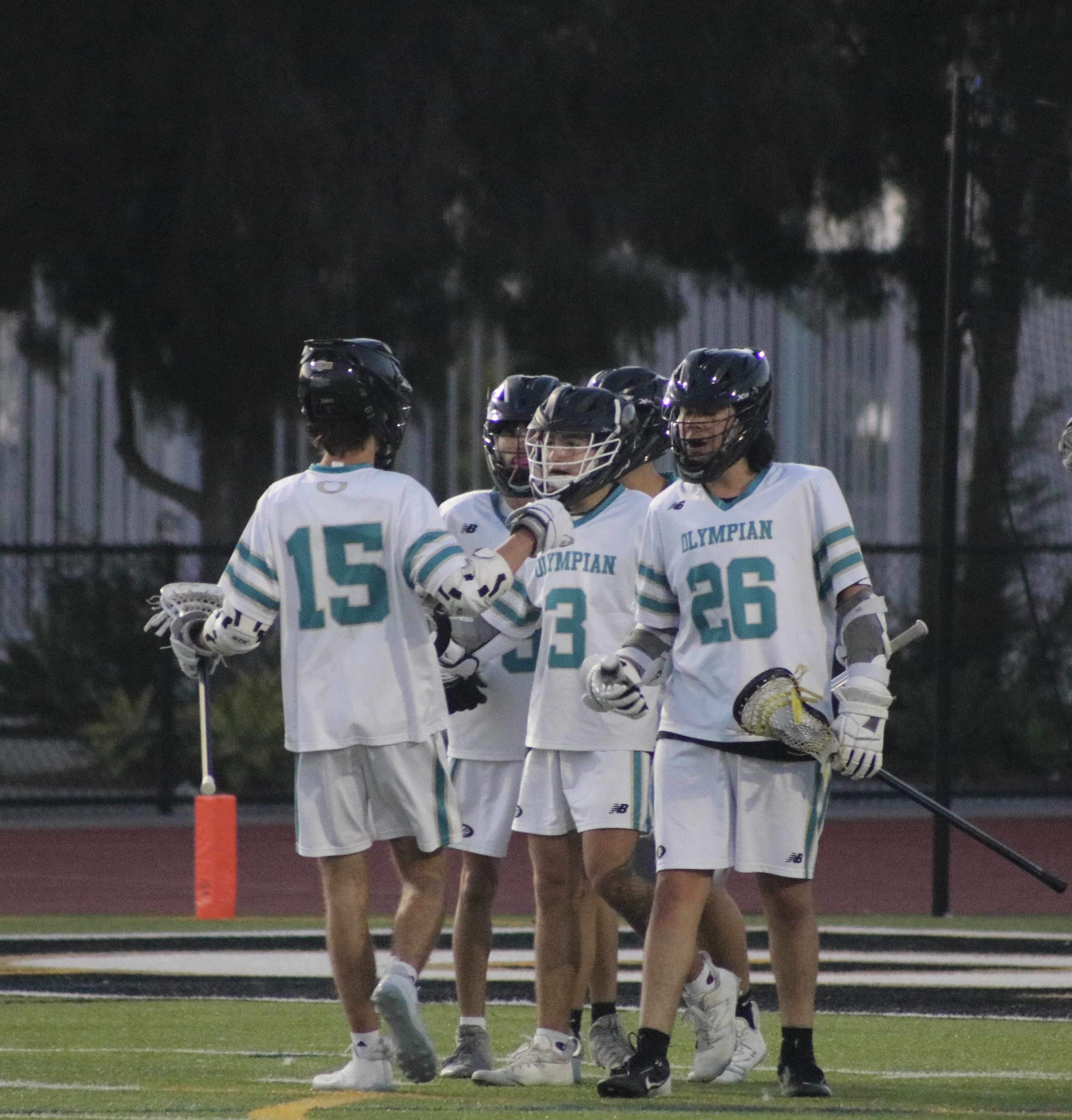 Film Gallery Lacrosse template preview
