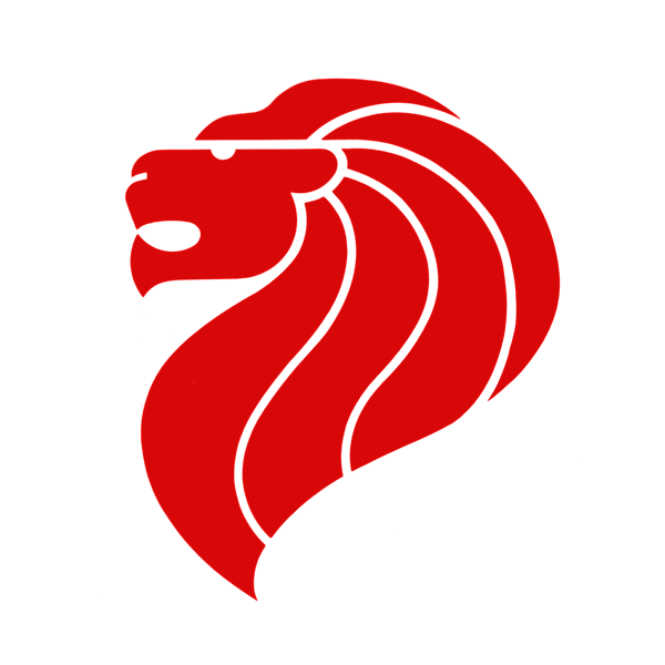 lion-city-go.com favicon