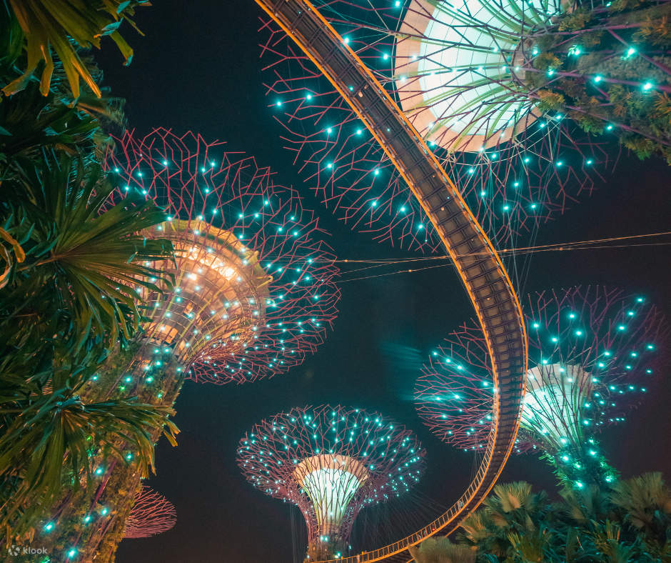 滨海湾花园 · 云雾森林+花穹