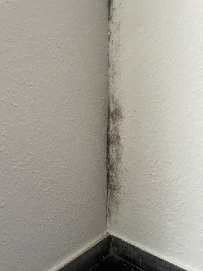 Schimmel in der kalten Außenecke