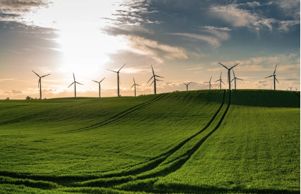 Wind Project