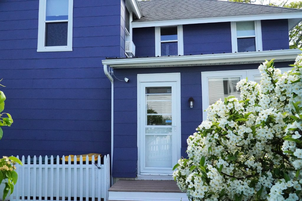 Pine Point Bliss 5