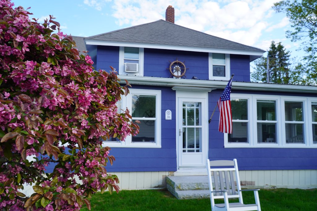Pine Point Bliss 9