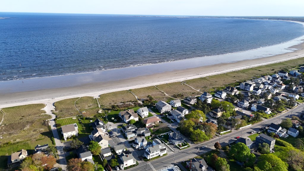 Pine Point Bliss 3