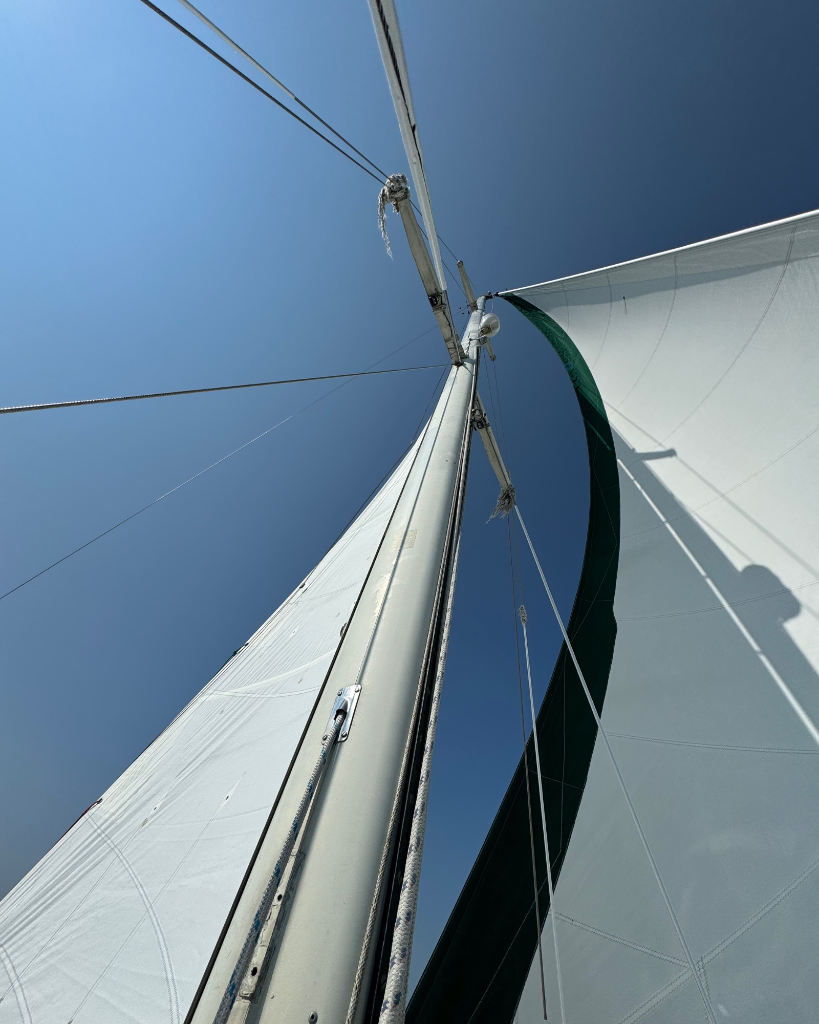 Sail The Gift photo 7