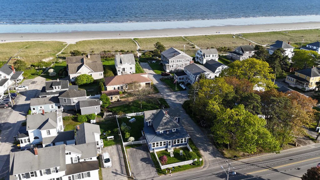 Pine Point Bliss 1