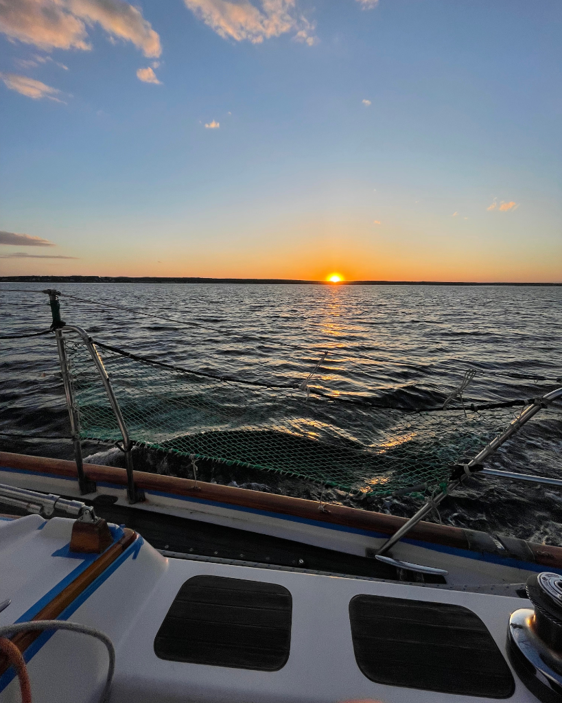 Sail The Gift photo 5