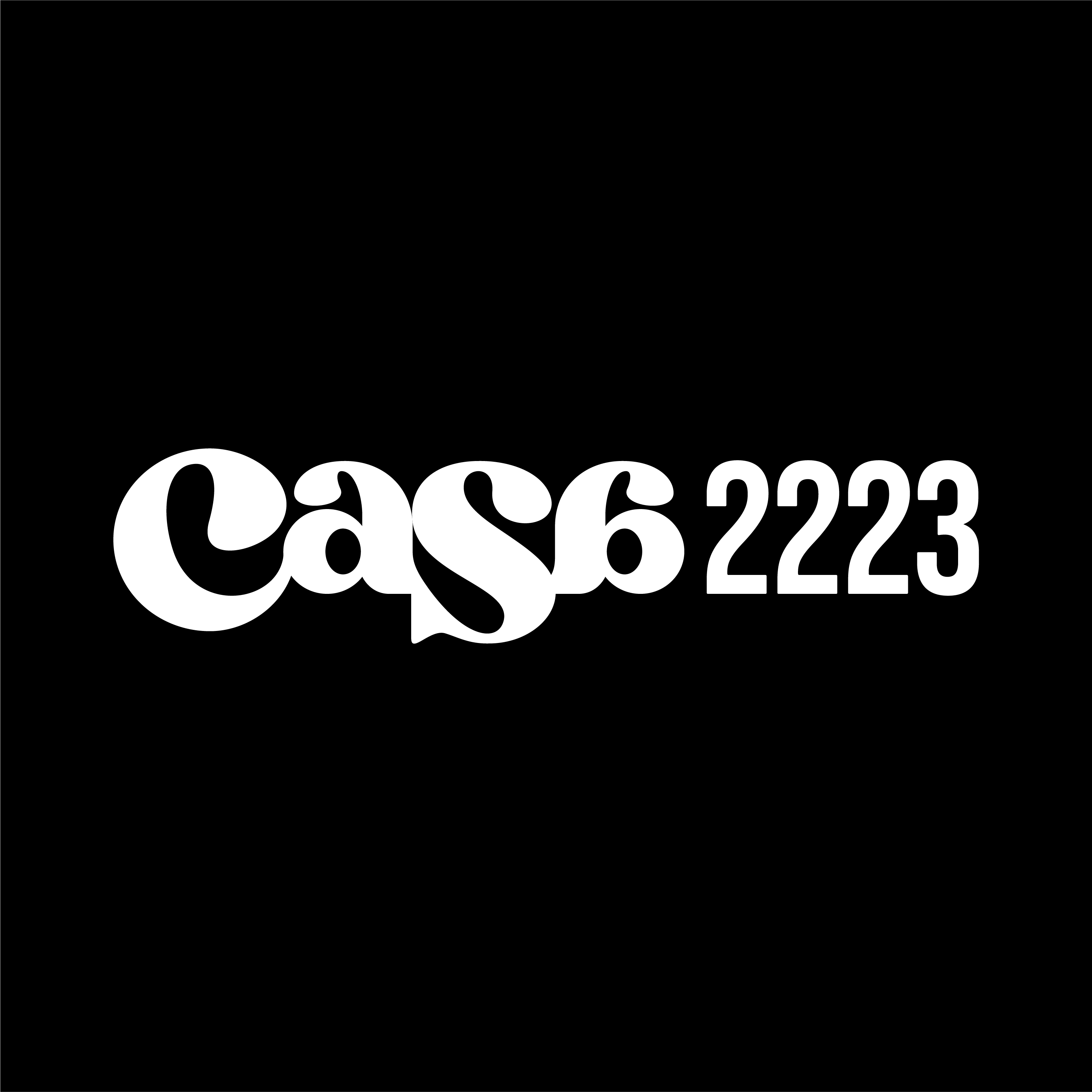 Casaページ✴︎手渡し Hero Page | CaSa 2223 Firm