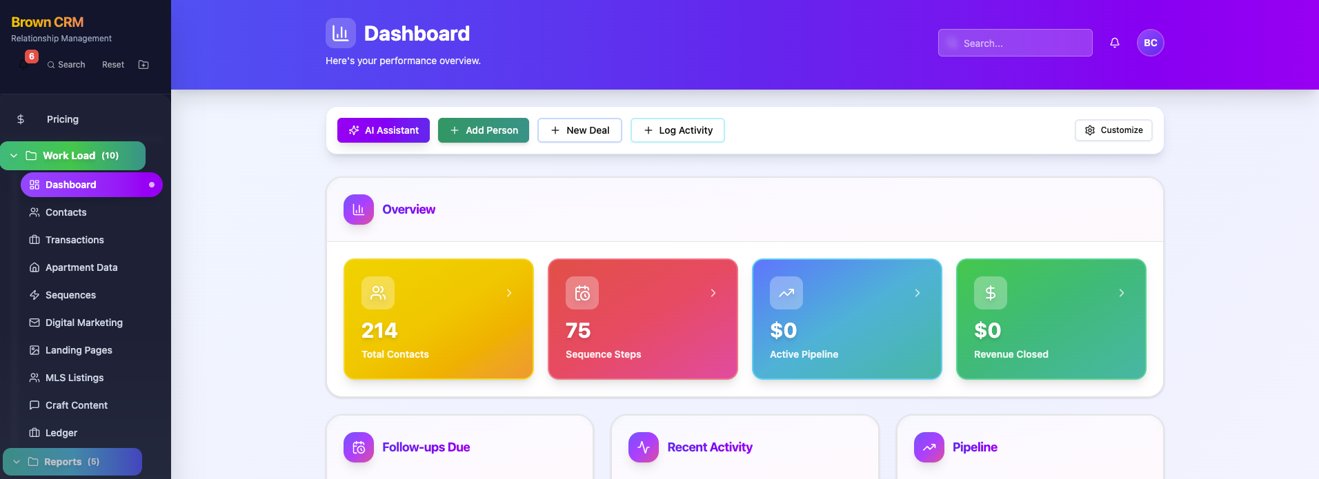 Brown CRM  template preview
