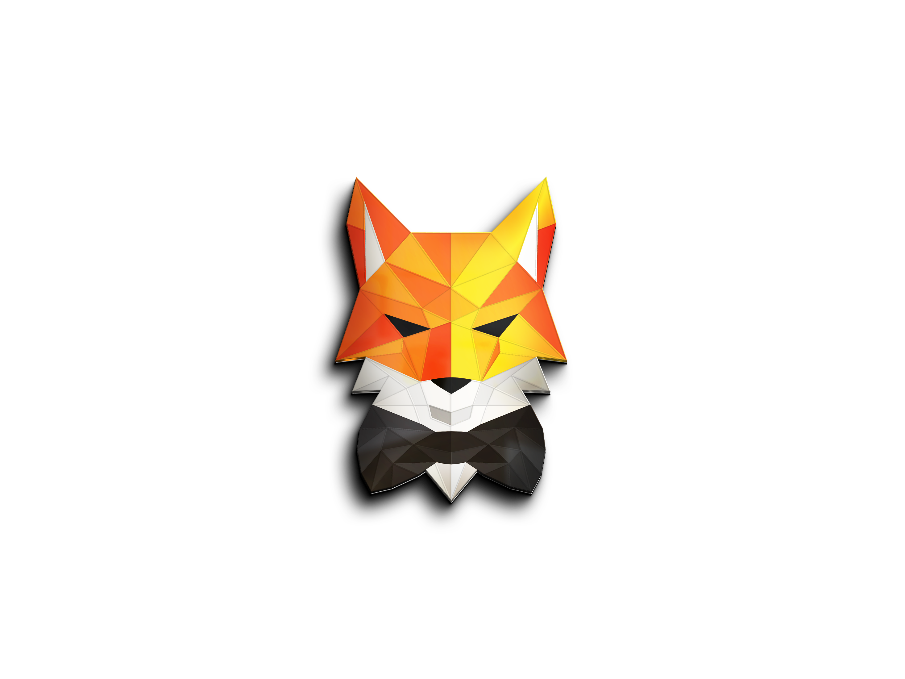 www.feistyfoxsecurity.com logo