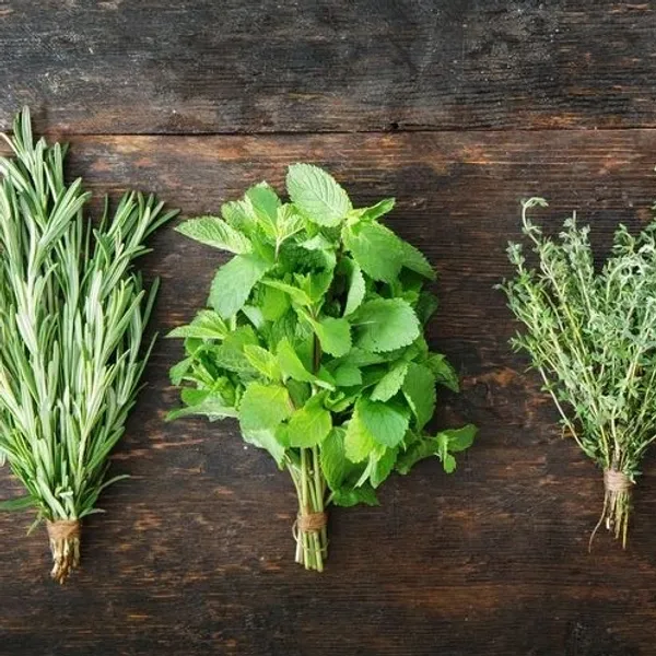 Herbs