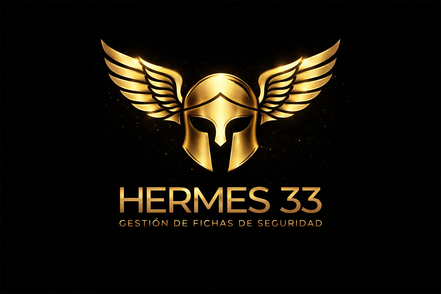 HERMES 33 logo