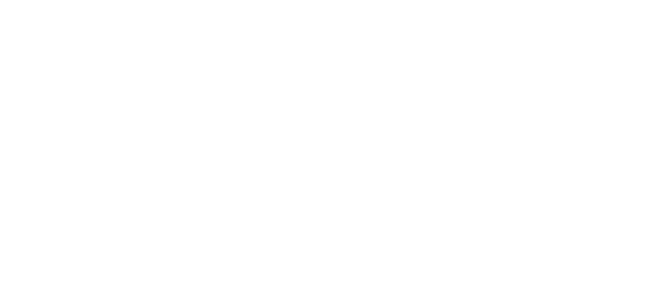 The Leaders Institute