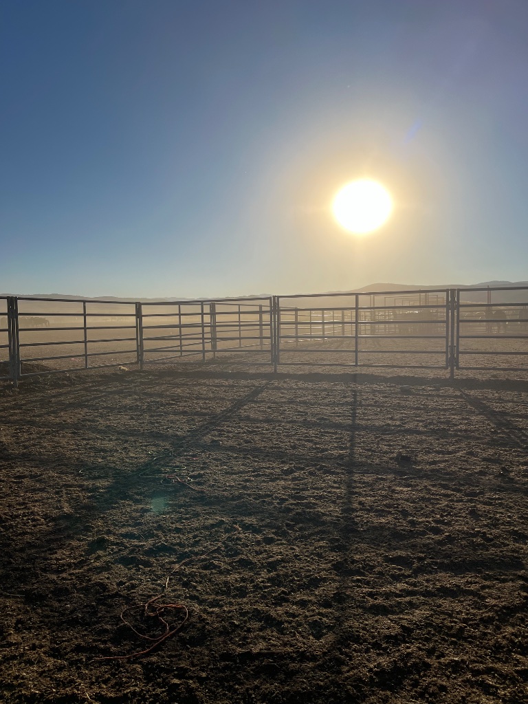 Corral at sunrise