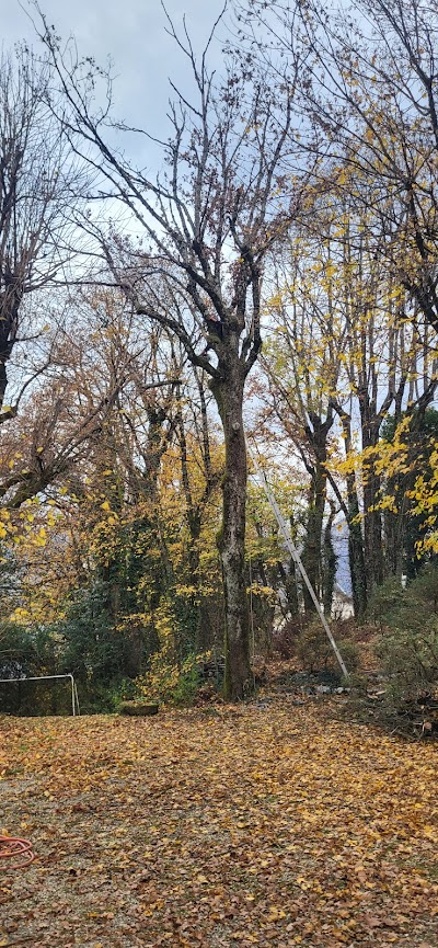 Élagage automne