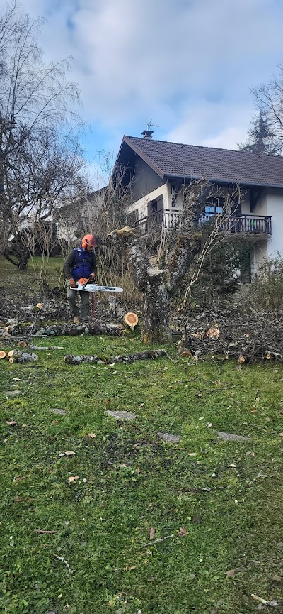 Élagage en hauteur