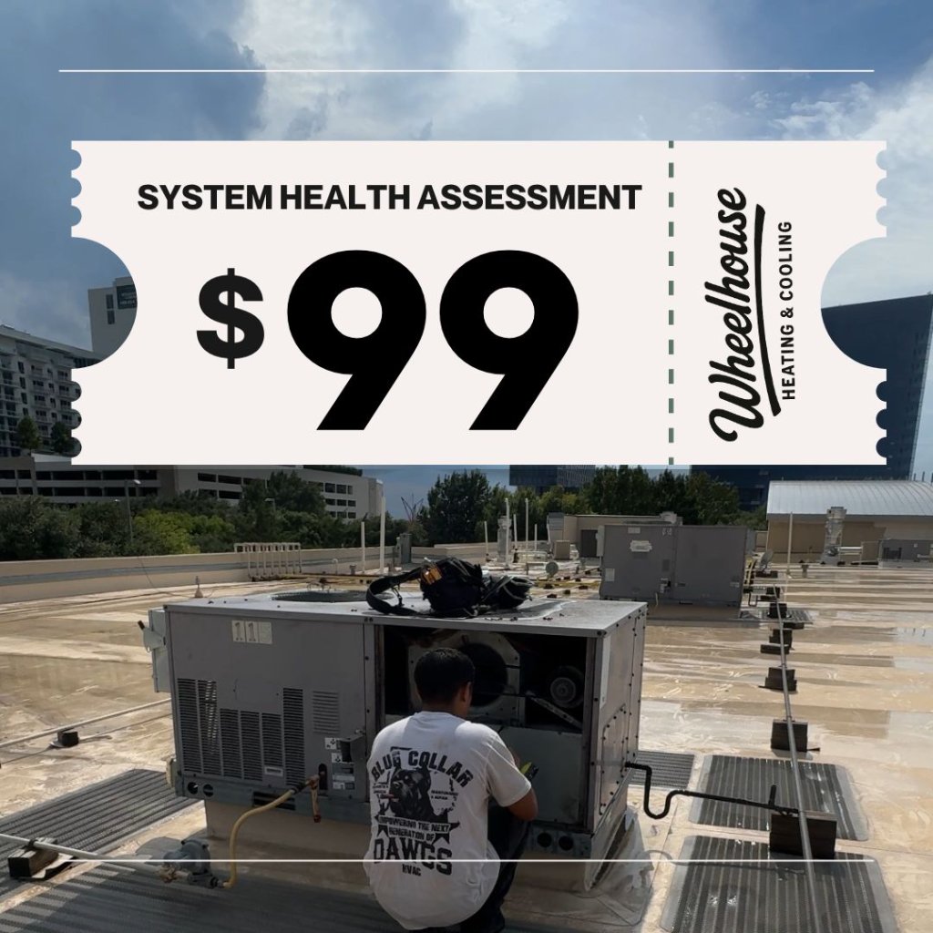 $99 System Health Assessment