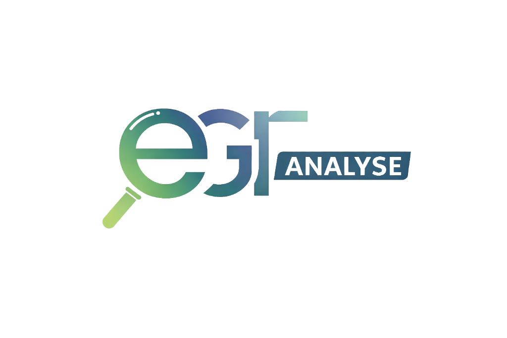 EGR Analyse