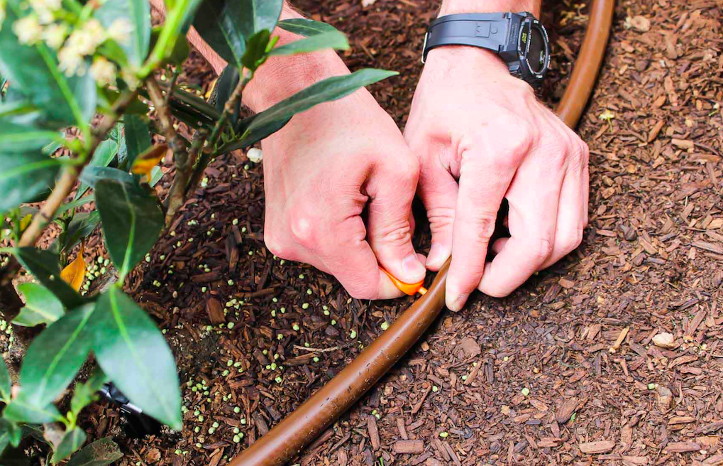 Drip Irrigation Lines