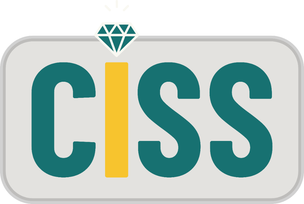 CISS — Crystal Integrated Security Systems Ltd