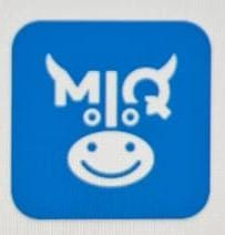 MIQ Logo