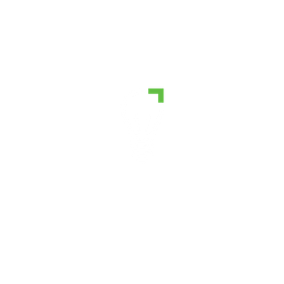 Nicolas Nervi Logo
