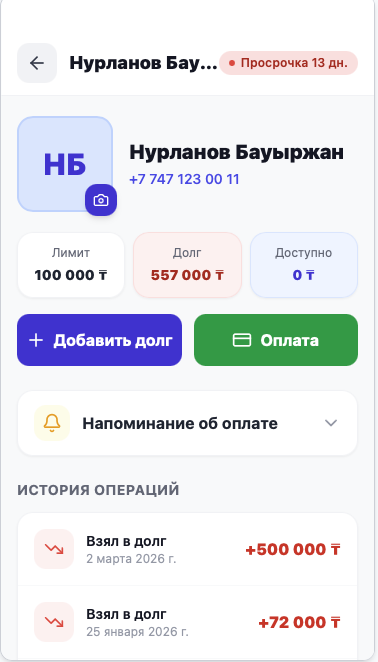 Store Debt management  template preview