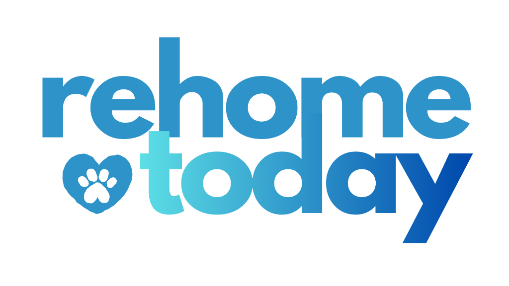 RehomeToday