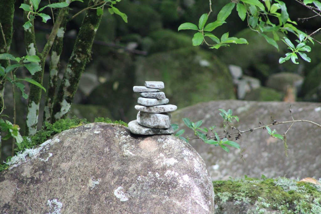 The Foundations Workshop