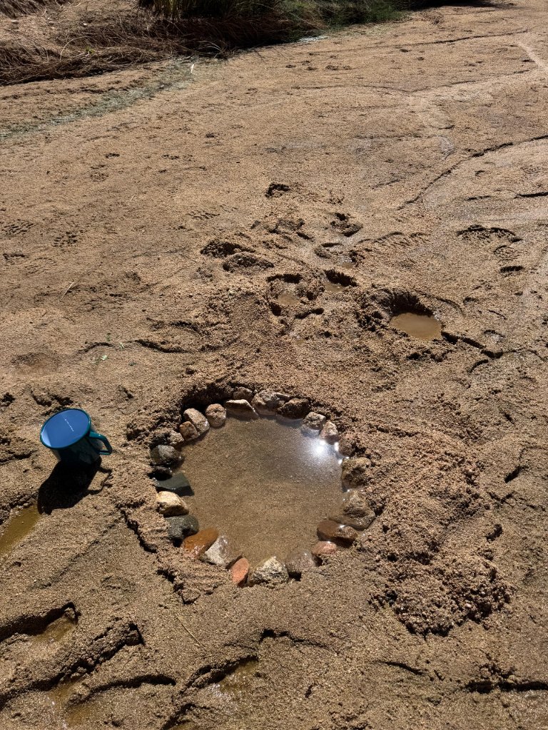 Tefedest Puit — Sahara algérien, Tinazraf