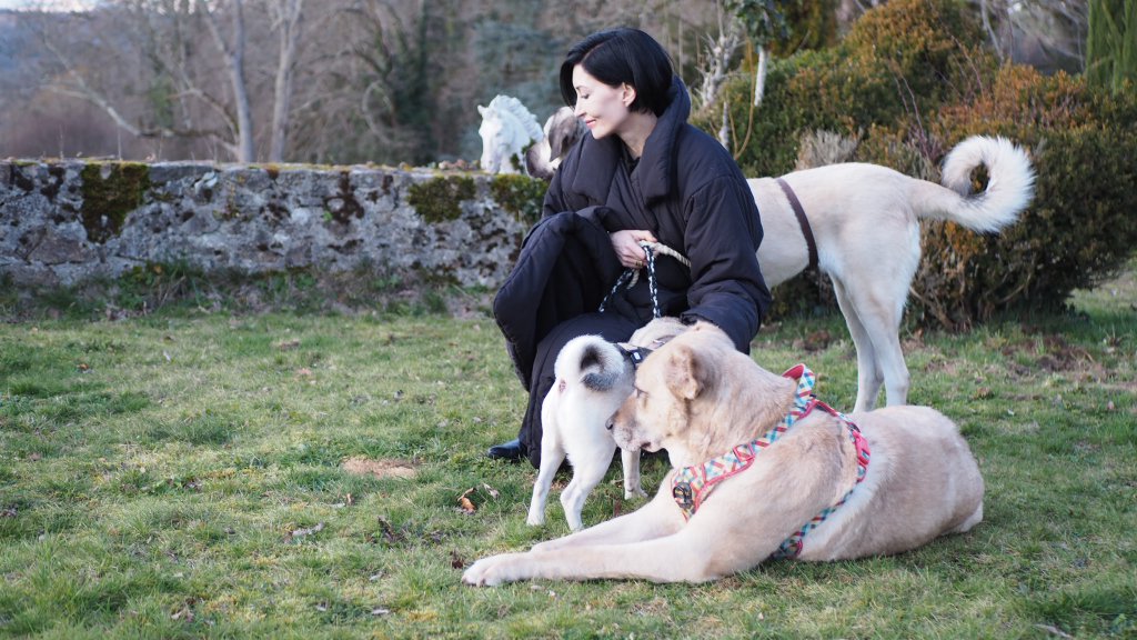 Nicky Sabeti with her dogs — Animals Space, The Shen Society