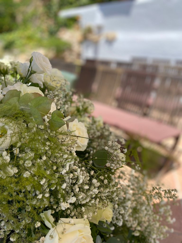 Bodas 11