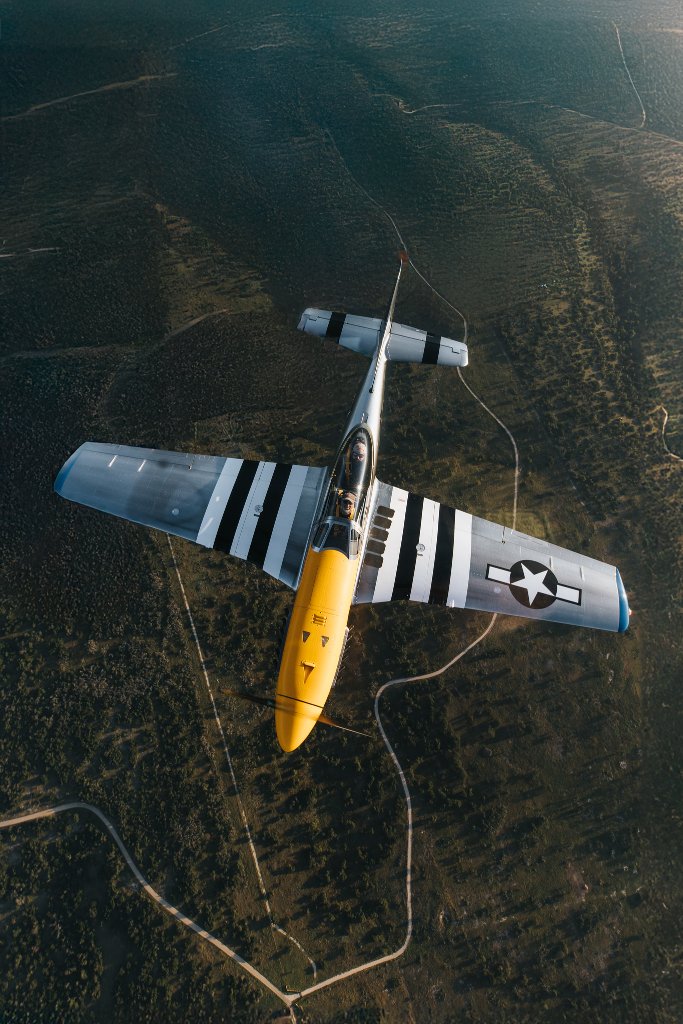 SW51 Mustang