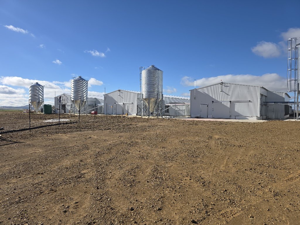 Poultry Farm Infrastructure