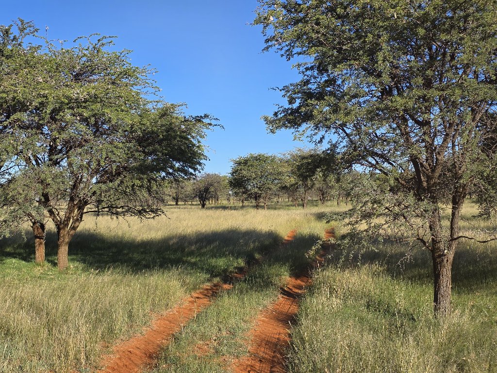 Game Farm & Bush Veld