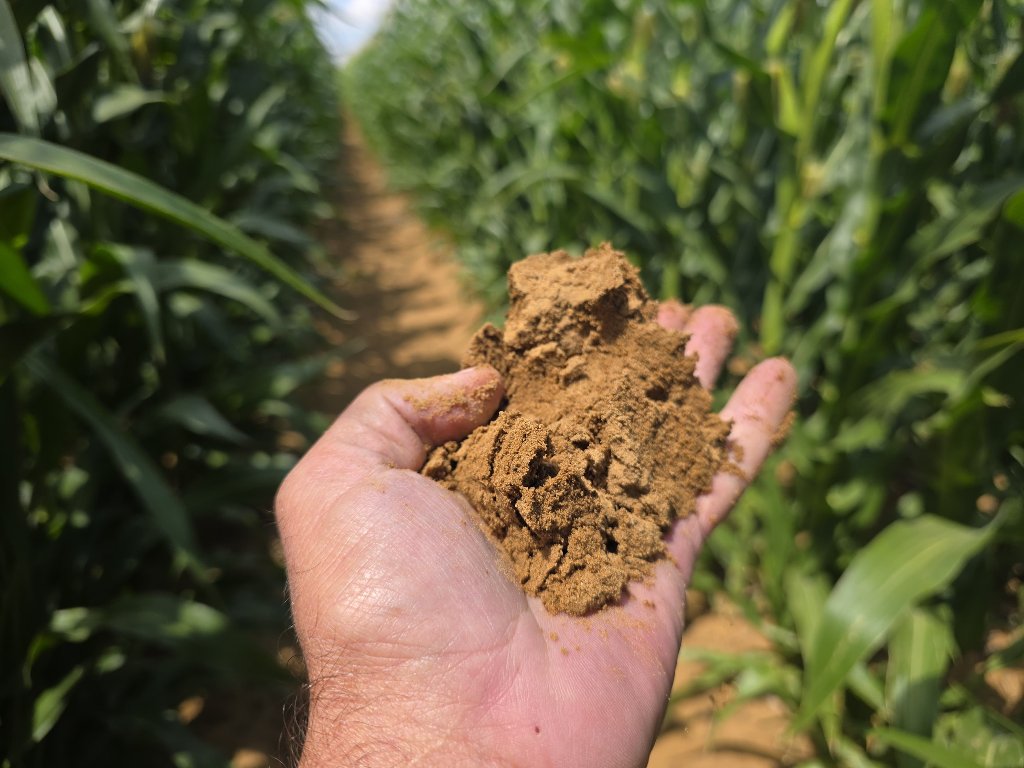 Agricultural