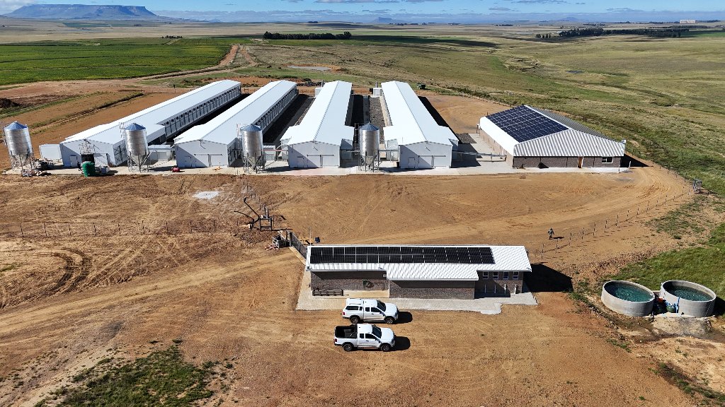 Broiler & Layer Facilities