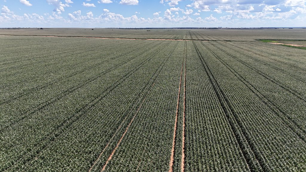 Agricultural property valuation